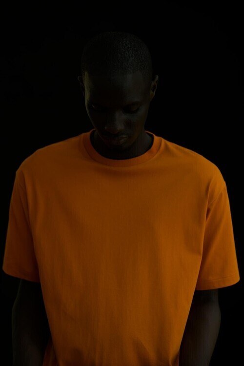 アルテリア 通販