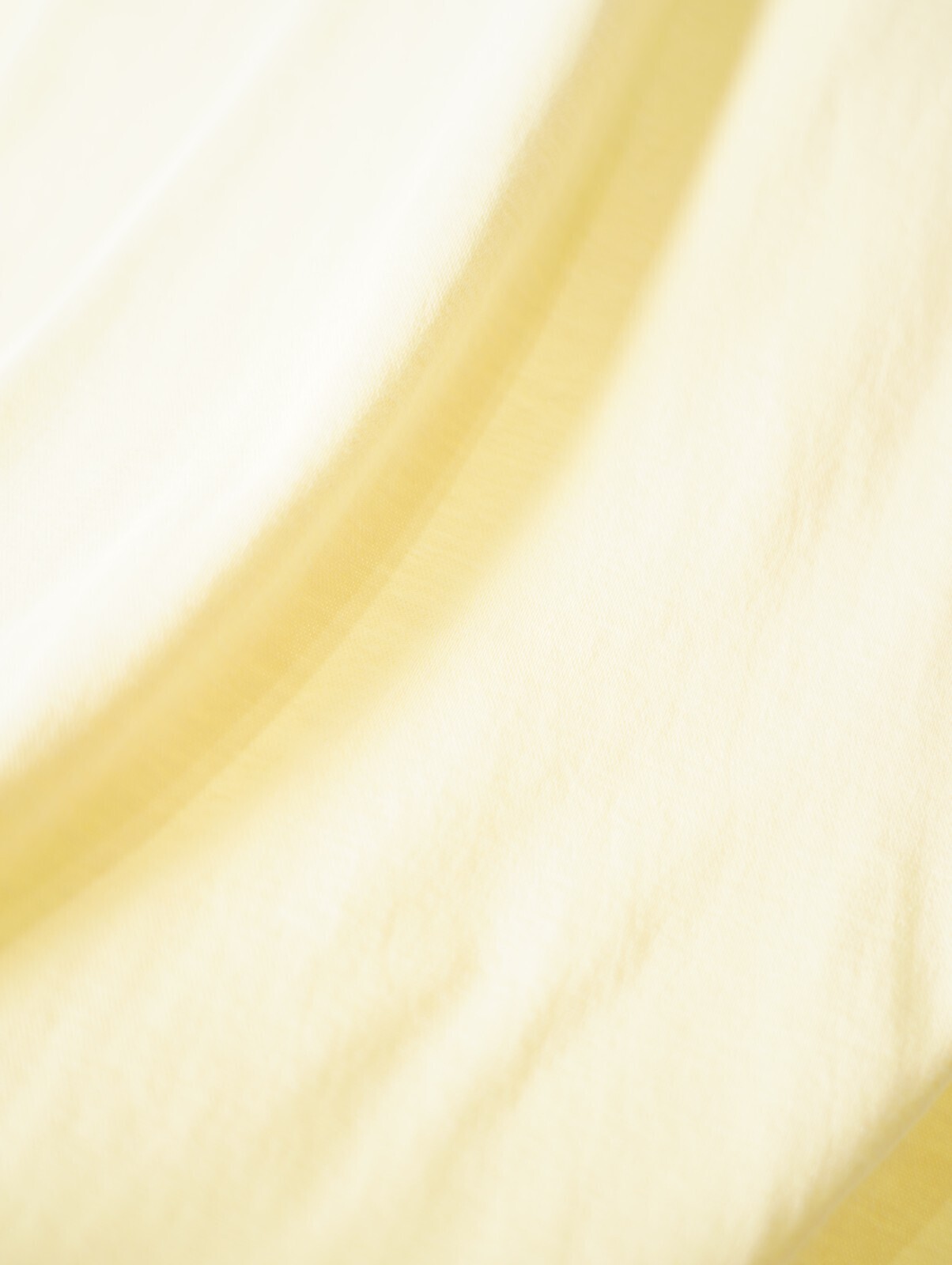 ビソウン メンズ リンガーTシャツ 画像8