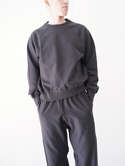 アルテリア メンズ フェイデッドシルキーテリースウェットシャツ 画像9