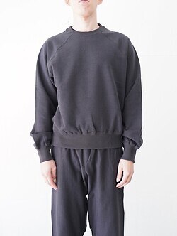 アルテリア メンズ フェイデッドシルキーテリースウェットシャツ 画像10