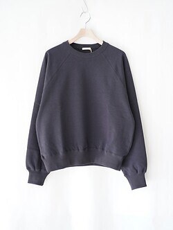 アルテリア メンズ フェイデッドシルキーテリースウェットシャツ 画像14