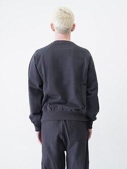 アルテリア メンズ フェイデッドシルキーテリースウェットシャツ 画像12