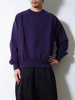 ULTERIOR WOMENS & MENS FADED SILKY TERRY SWEAT SHIRT IMAGE23