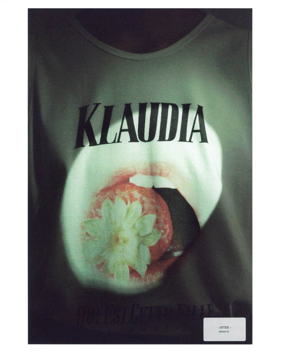 mister it. WOMENS & MENS Klaudia-aft (24SS T-shirt) IMAGE12