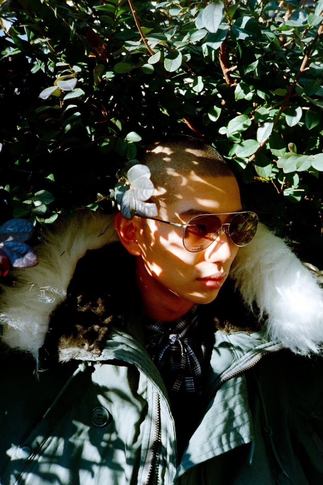 DAIRIKU 女裝 & 男裝 Printed Vintage Sunglass 圖片9