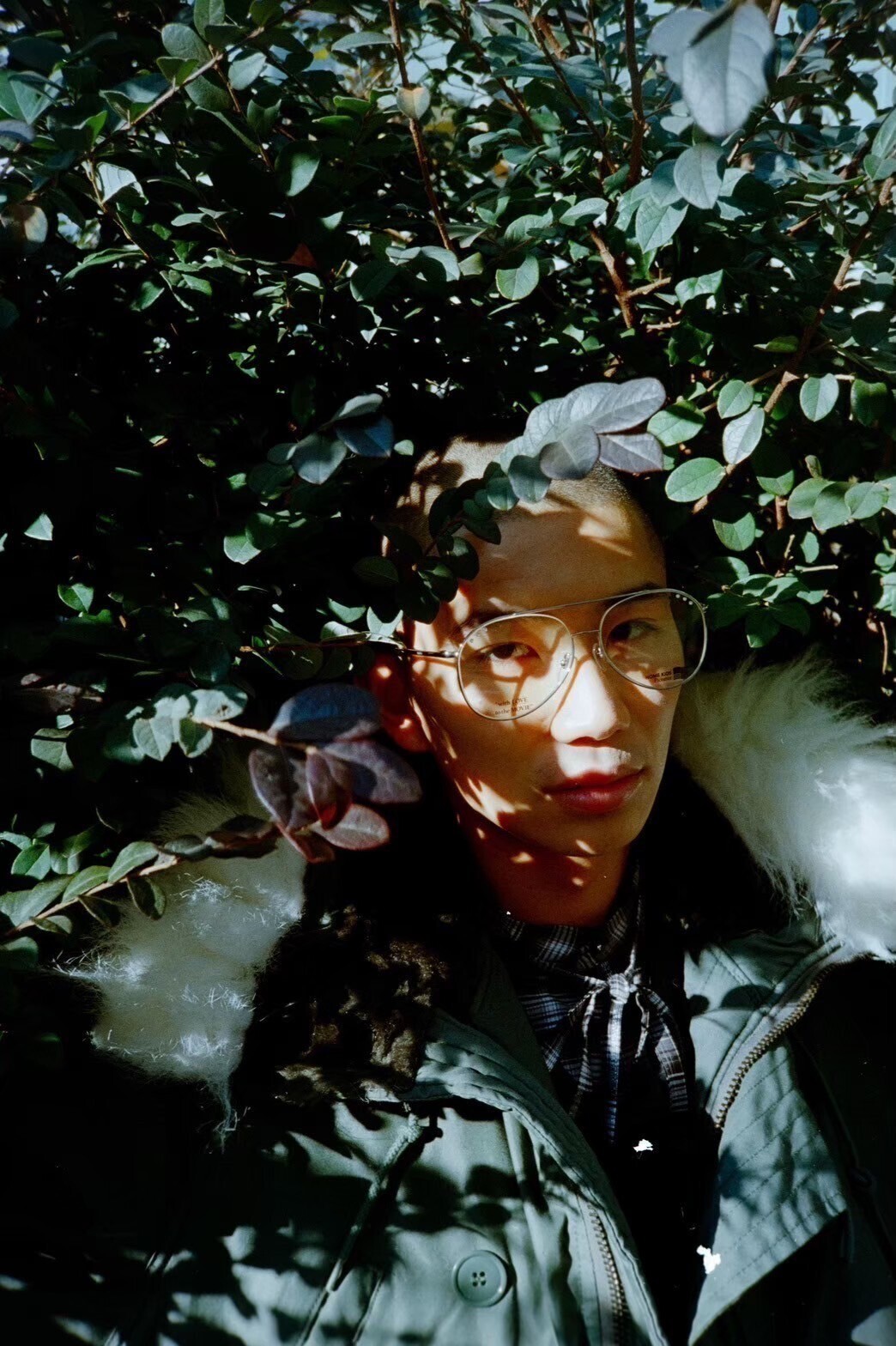 DAIRIKU 女裝 & 男裝 Printed Vintage Sunglass 圖片20